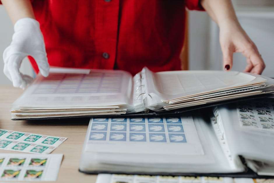 Jak kolekcjonowanie uczy cierpliwości i wartości?